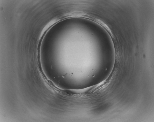 X0000069391146200605121204