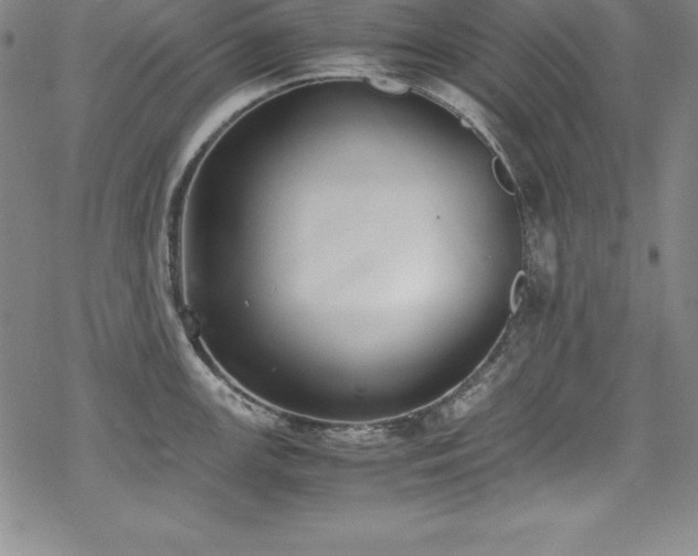 X0000069391147200605121204