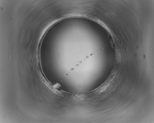 X0000069391148200605121205