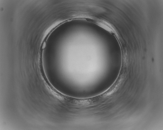 X0000069391149200605121205