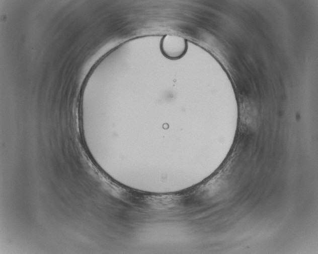 X0000069391150200605121205