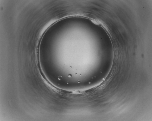 X0000069391151200605121205