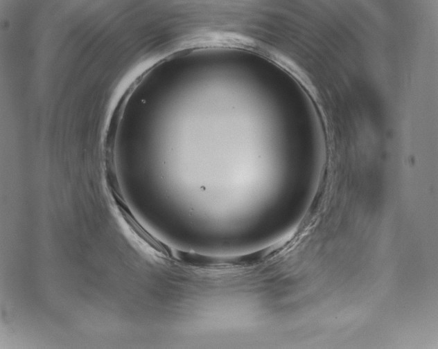 X0000069391152200605121205