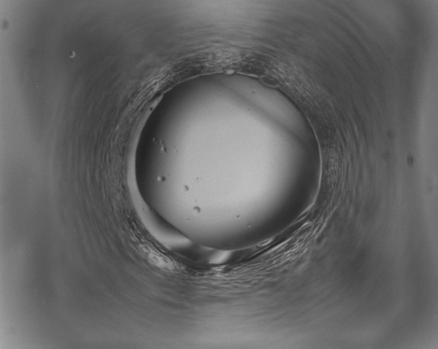 X0000069391153200605121204