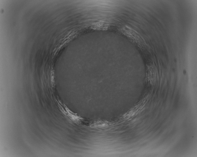 X0000069391154200605121204