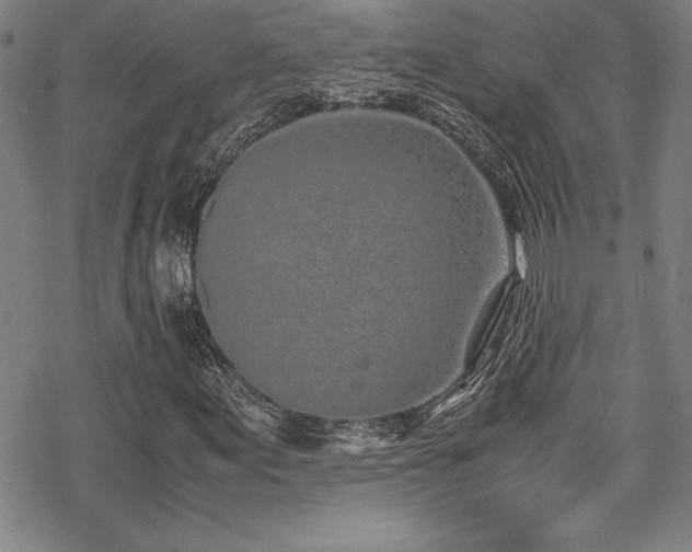 X0000069391155200605121204