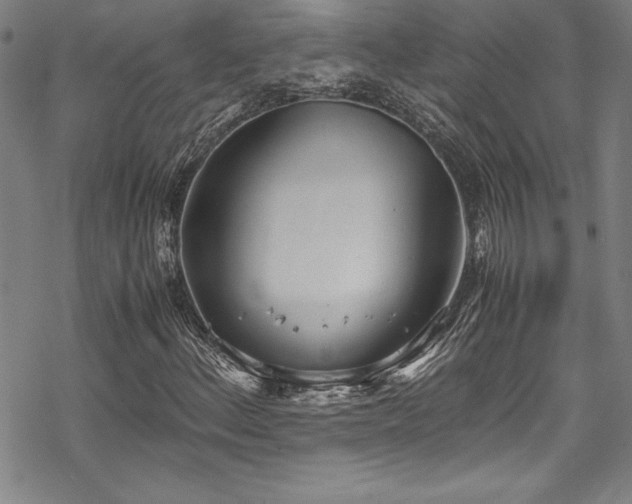 X0000069391156200605121204