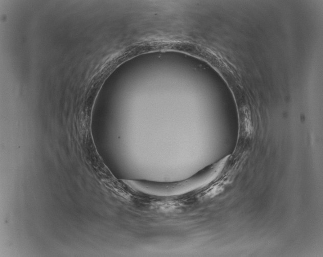 X0000069391157200605121204