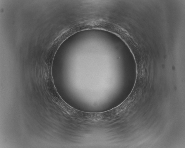 X0000069391158200605121204