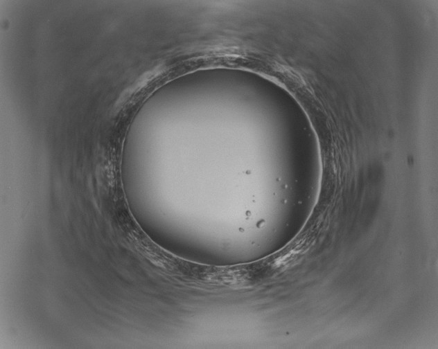 X0000069391159200605121204