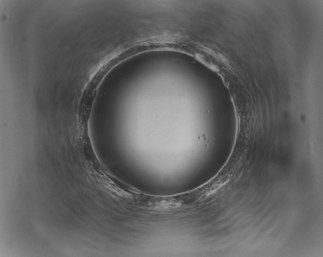 X0000069391160200605121204