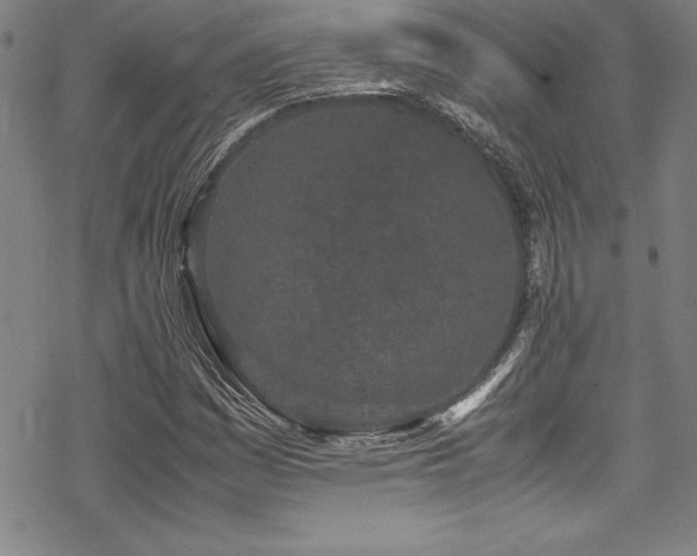 X0000069391161200605121204