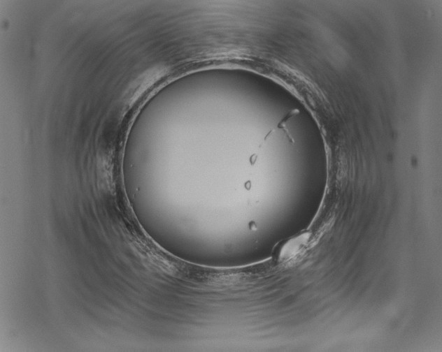 X0000069391162200605121204