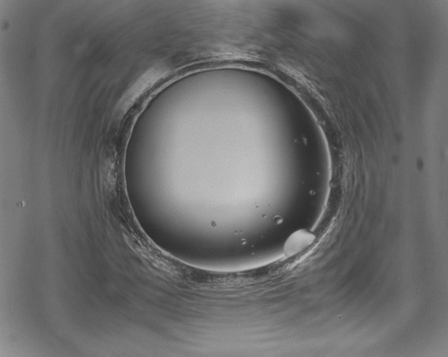 X0000069391163200605121204