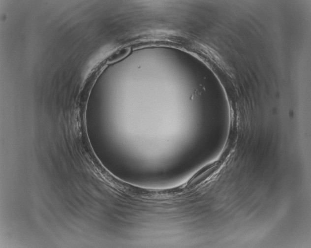 X0000069391164200605121204