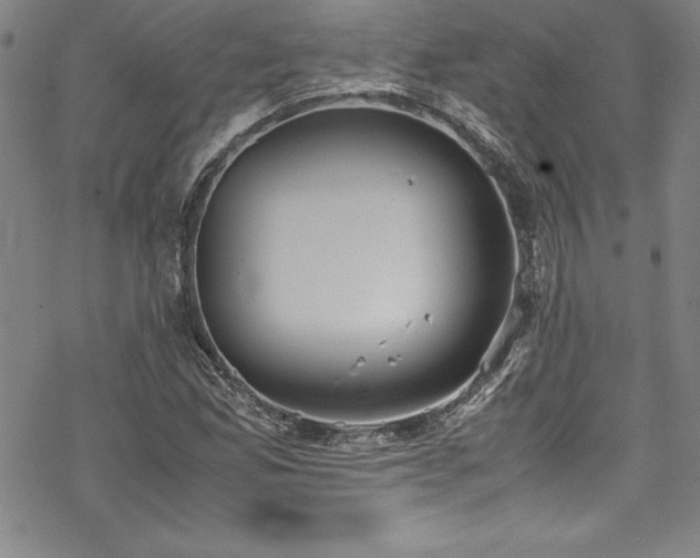 X0000069391165200605121204