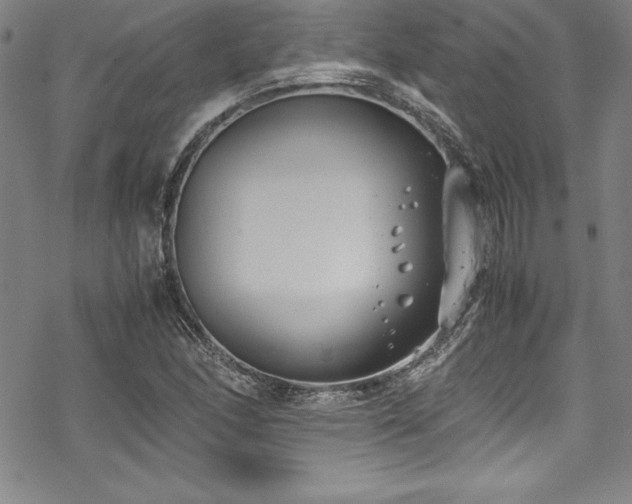 X0000069391166200605121204