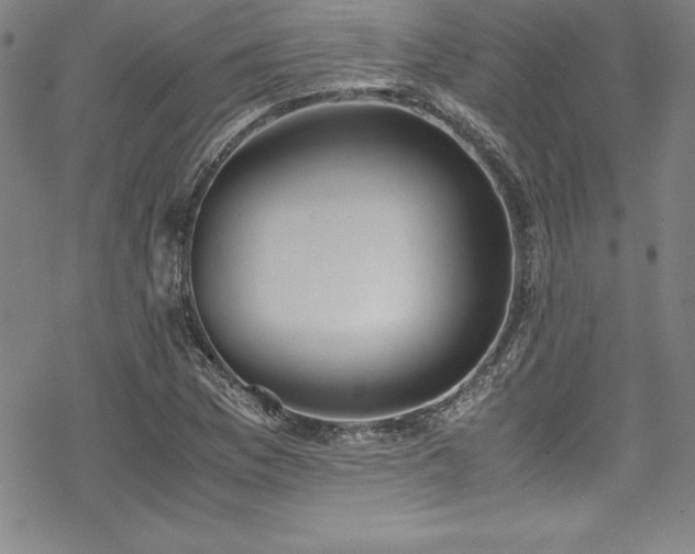 X0000069391169200605121204