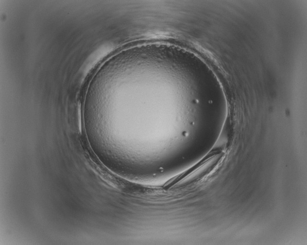 X0000069391171200605121203