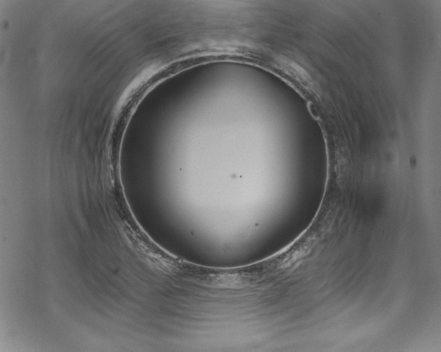 X0000069391172200605121203