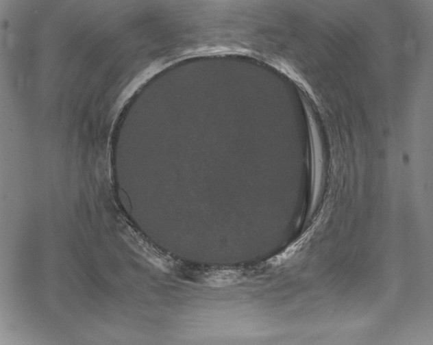 X0000069391173200605121203