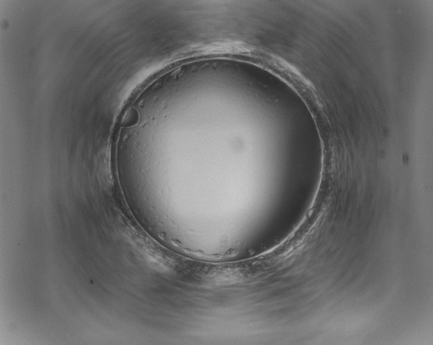 X0000069391174200605121203