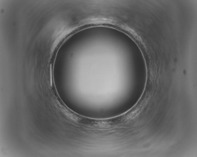 X0000069391175200605121203