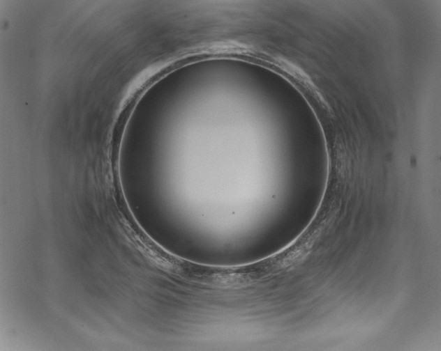 X0000069391176200605121203