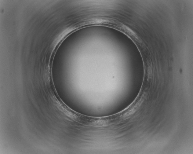 X0000069391178200605121203