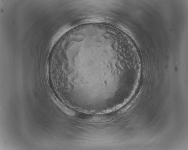 X0000069391179200605121203