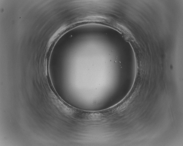 X0000069391180200605121203