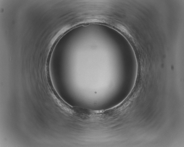 X0000069391181200605121203