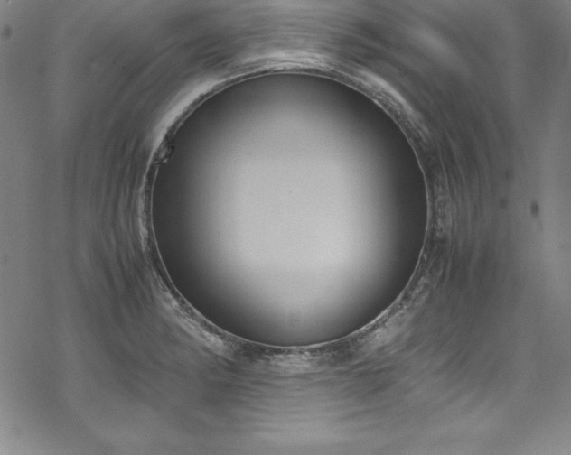 X0000069391182200605121203