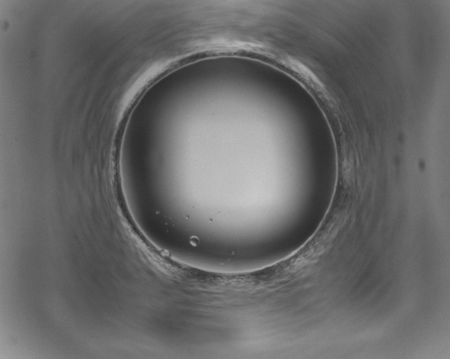 X0000069391183200605121203