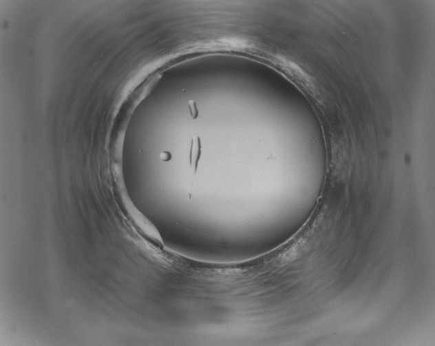 X0000069391184200605121203