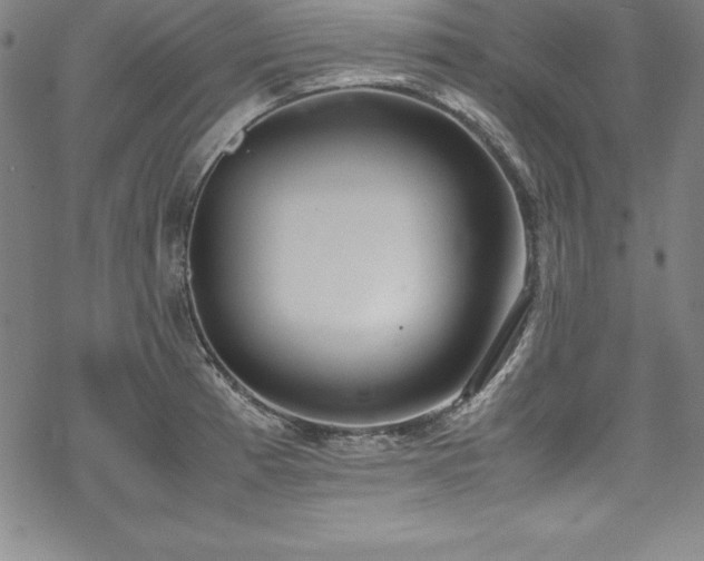 X0000069391185200605121203