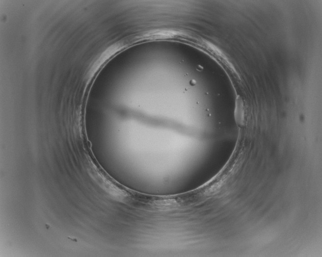 X0000069391186200605121203