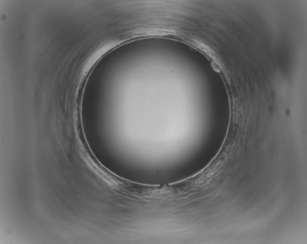 X0000069391187200605121203