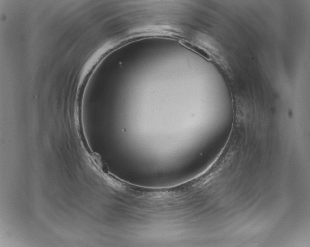 X0000069391188200605121203