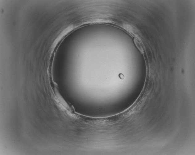 X0000069391189200605121203