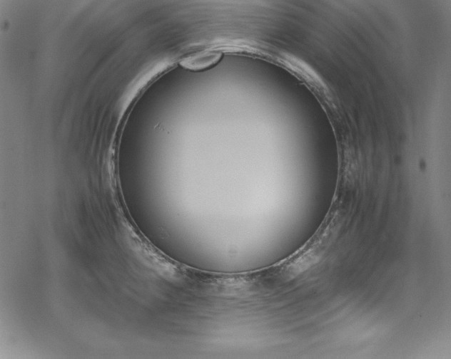 X0000069391190200605121203