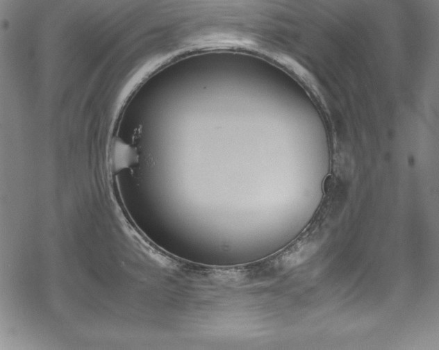 X0000069391191200605121203