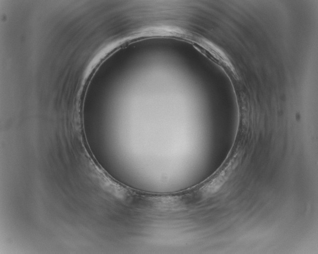 X0000069391192200605121203