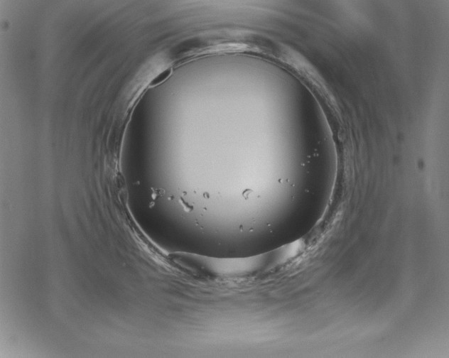 X0000069391193200605121203