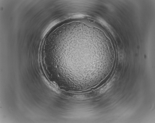 X0000069391194200605121203