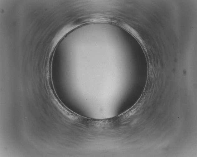 X0000069391195200605121203