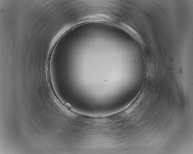 X0000069391196200605121203