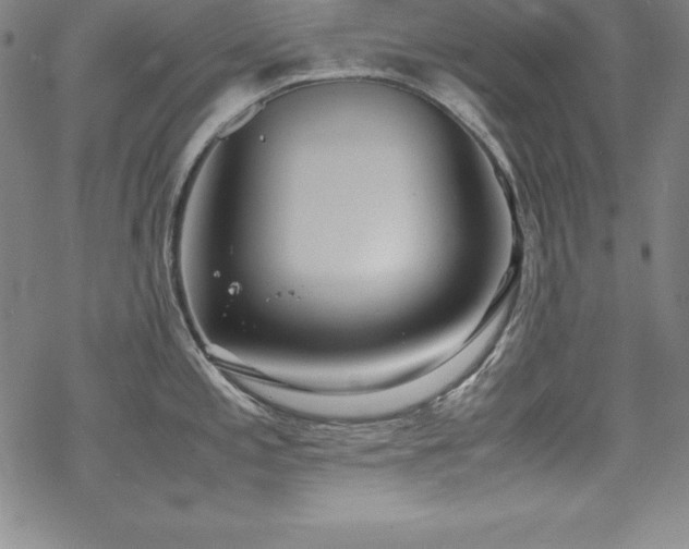 X0000069391197200605121203