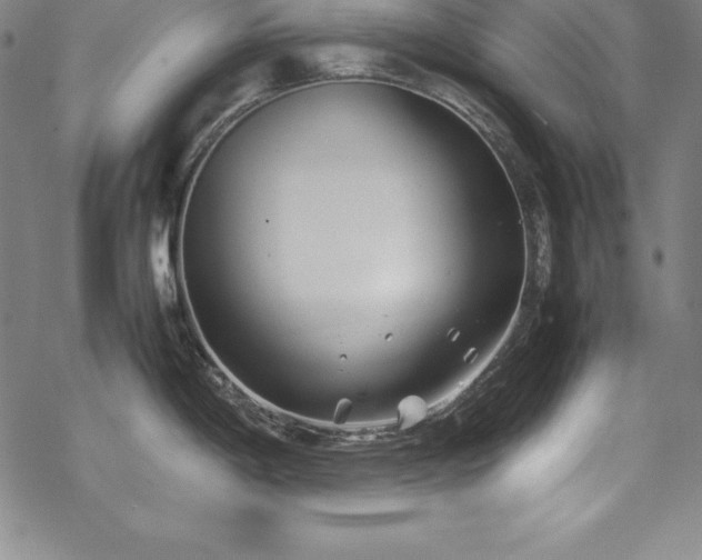 X0000069391198200605121203