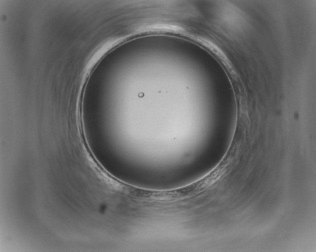 X0000069391199200605121203